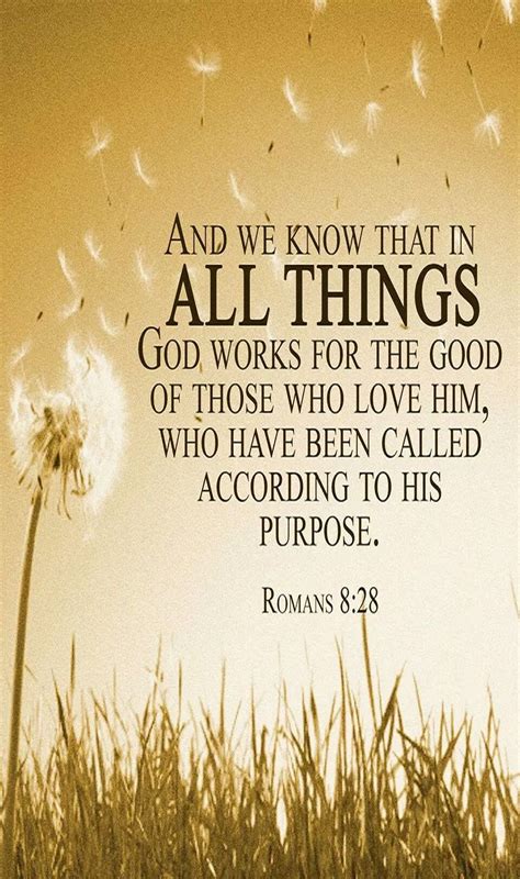 romans 8:28 niv